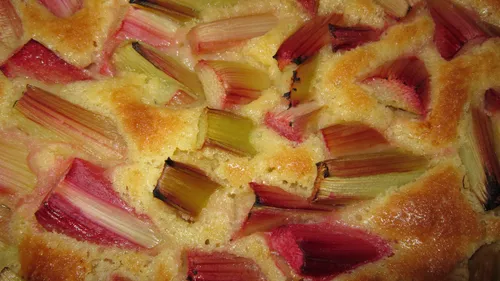 CHEESE CAKE RHUBARBE