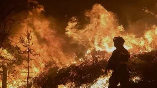 Incendies dans le Var : Cagnes-sur-Mer propose une aide de 10 000...