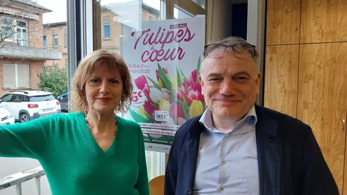 Les tulipes à coeur