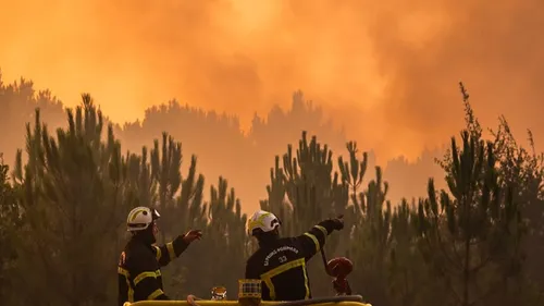 Incendie dans les Landes : 1 600 hectares parcourus et 650...