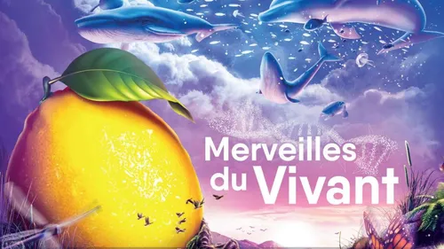 Menton et Mandelieu en fête : citron et mimosa à l’honneur