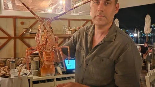 Roquebrune-Cap-Martin : il achète une langouste 300 euros pour la...