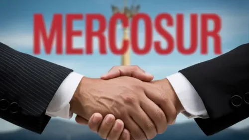 Accord Mercosur : les agriculteurs alsaciens respirent après le...