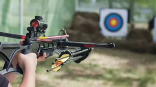 Alexandra Geng et Michael Dhalluin remportent des médailles