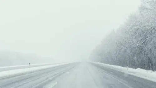 Circulation compliquée : une voiture termine sa course dans un étang