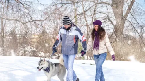 Selon une étude, la marche est considérée comme l’une des méthodes...