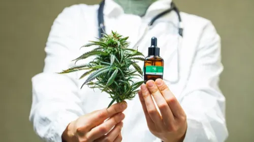 Colombie : Vers la légalisation du cannabis pour rompre avec la...