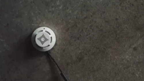 Contraints de fuir leur domicile : des locataires excédés par des...