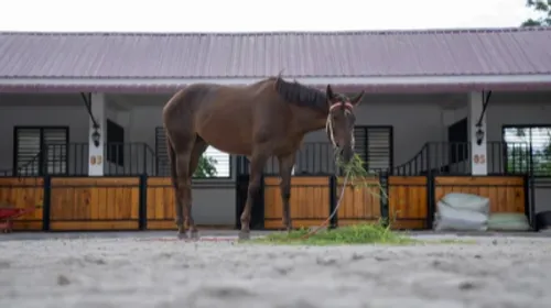 Il tourne le dos à l’industrie pour suivre son rêve : travailler au...