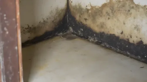 Pour lutter contre les logements insalubres, cette ville met en...