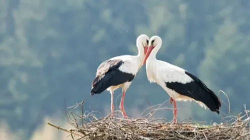 Plus de 10 000 foyers se retrouvent sans électricité ni téléphone...