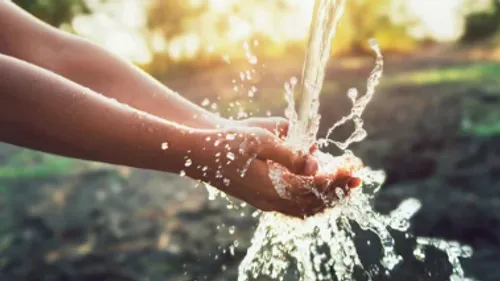 La santé est sacrifiée au profit de l’économie", affirment-ils en...