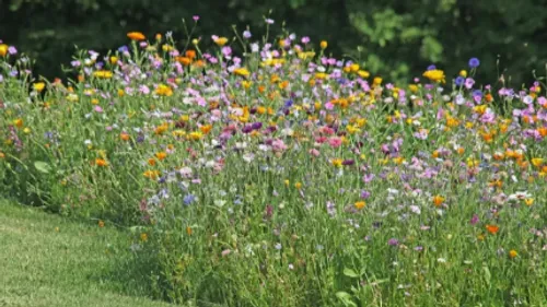 Mettre à l’honneur les agriculteurs qui favorisent la nature grâce...
