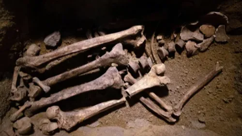 Âgé de 15 000 ans... Le plus ancien squelette de chien jamais...