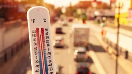 Vague de chaleur : trois écoles de Colmar sont fermées en raison...