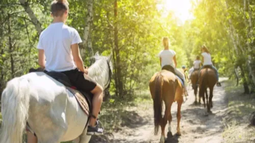 Selon ce cavalier, les chevaux ressentent tout avec une acuité...