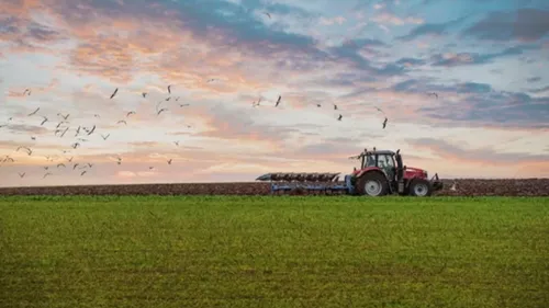 Alsace : les agriculteurs obtiennent l’annulation de la hausse de...