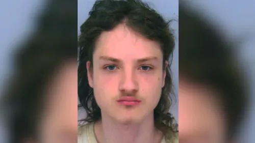 Meurtre à Molsheim : le fils de la victime interpellé en Roumanie...