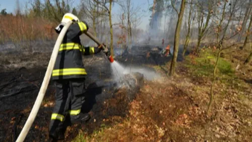 Un exercice grandeur nature contre les feux de forêt organisé ce...