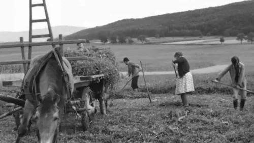 D'Goda projeté en Alsace comme en 1975