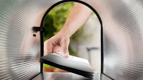 Le plus grand Noël "surprise" de France se passe à Berrwiller