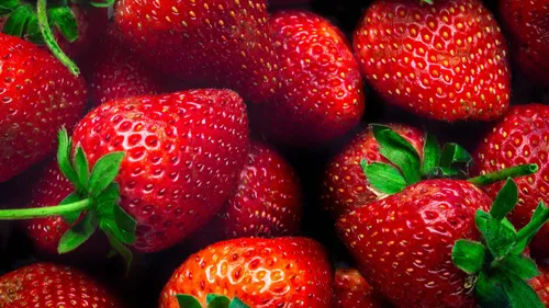 La saison des fraises a commencé