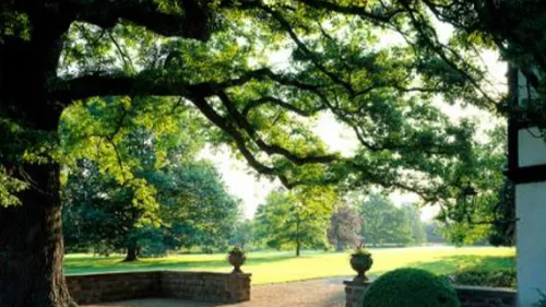 La fête des plantes au parc de Schoppenwihr