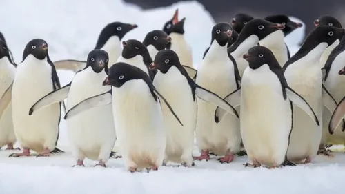 Bénéficiez d'une rémunération de 10 000€ pour effectuer le décompte...