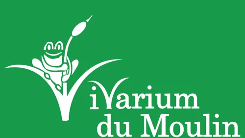 Le Festi z’Ailes, première édition organisée par le Vivarium du Moulin