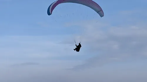 Une parapentiste coincée dans les arbres