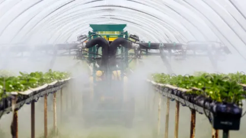 Excès de polluants dans les fruits et légumes