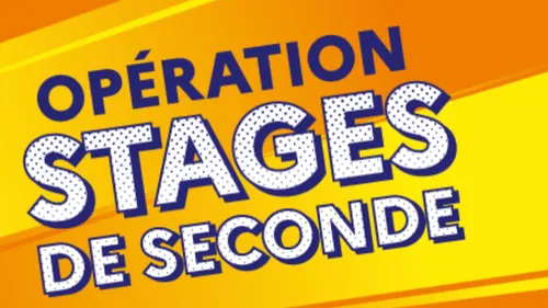 Les élèves de seconde doivent trouver un stage en cette fin d'année...