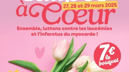 Les tulipes à coeur