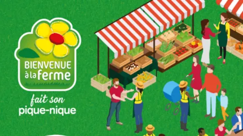 Pique-nique fermier - Colmar