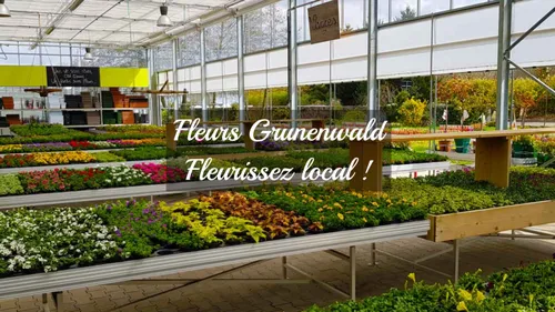 DKL & Fleurs Grunenwald : un partenariat qui fait fleurir vos envies