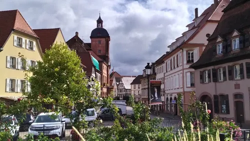 Wissembourg : une vague rose attendue le 12 septembre lors de la...