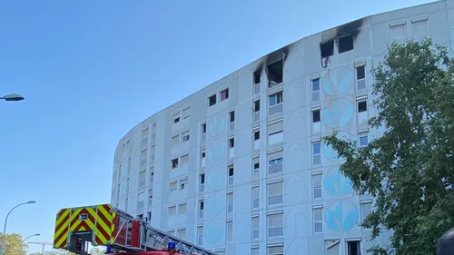 Incendie criminel des Moulins à Nice : un organisateur présumé du...