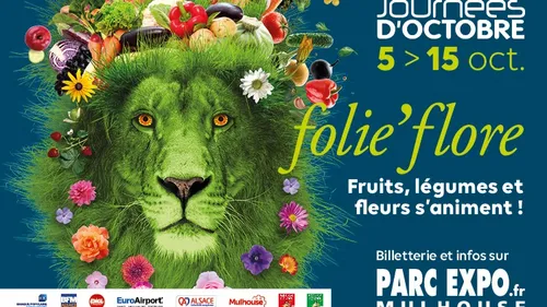 Les Journées d'Octobre arrivent à Mulhouse prochainement