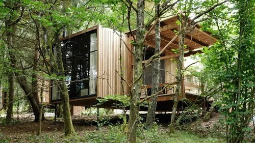 Plaine : le "village forestier" avec ses cabanes dans la forêt...