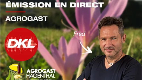 DKL en direct du festival des terroirs Agrogast à Hagenthal !