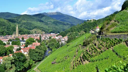 Tragique accident sur un chantier SNCF à Thann : un ouvrier perd la...