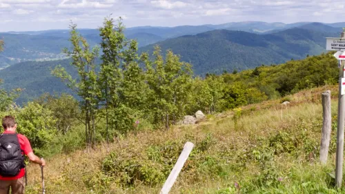 Destination 70 : entre l'Alsace et la Bourgogne, 3 destinations de...