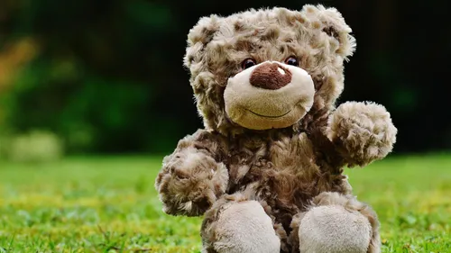 Collecte de jouets et Forum de la Défense : deux rendez-vous avec...