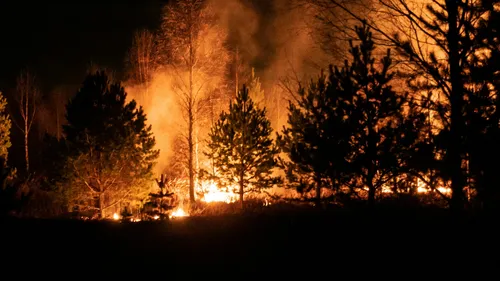 Incendie dans le Var : le feu stabilisé, un suspect reconnaît être...