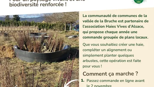 Vallée de la Bruche : une commande groupée d’arbres locaux pour...