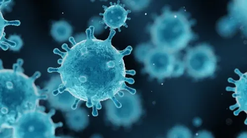 Hantavirus : pourquoi les experts écartent la comparaison avec un «...