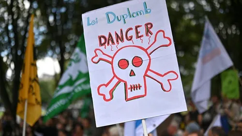 Loi Duplomb : le possible retour des néonicotinoïdes dans...