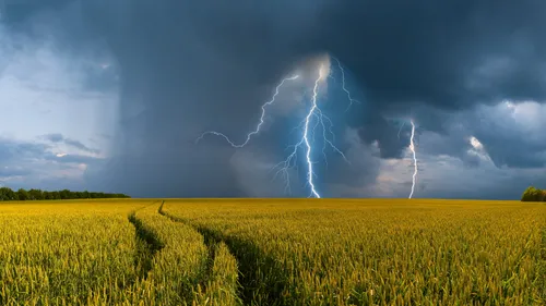 Orages : l’Alsace placée en vigilance jaune pour la journée