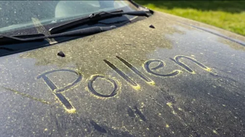Allergies au pollen : une hausse inquiétante qui pourrait peser sur...
