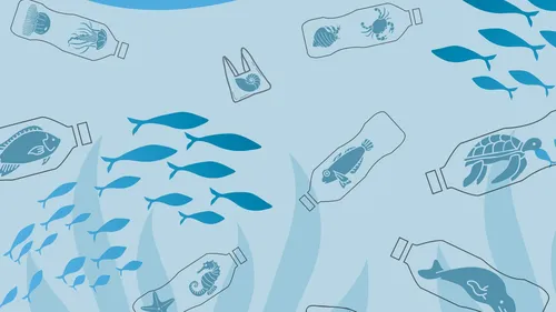 “Nettoyons le Sud 2026” mobilise Cannes et les communes voisines ce...